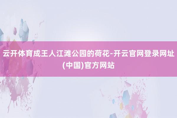 云开体育成王人江滩公园的荷花-开云官网登录网址(中国)官方网站