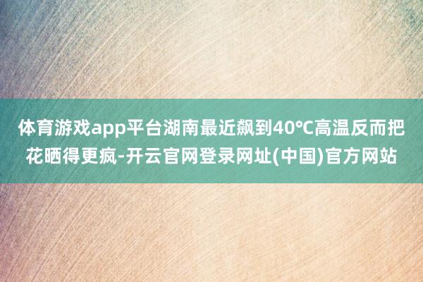 体育游戏app平台湖南最近飙到40℃高温反而把花晒得更疯-开云官网登录网址(中国)官方网站