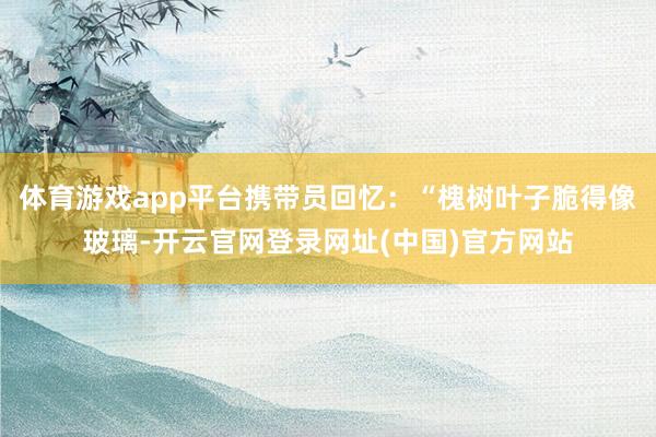 体育游戏app平台携带员回忆：“槐树叶子脆得像玻璃-开云官网登录网址(中国)官方网站
