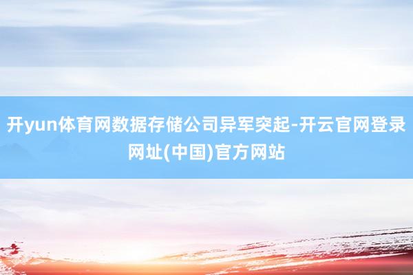 开yun体育网数据存储公司异军突起-开云官网登录网址(中国)官方网站